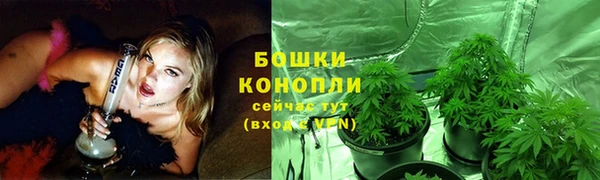 альфа пвп Горно-Алтайск