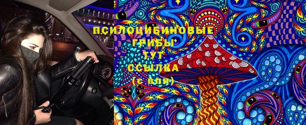 jwh Горняк