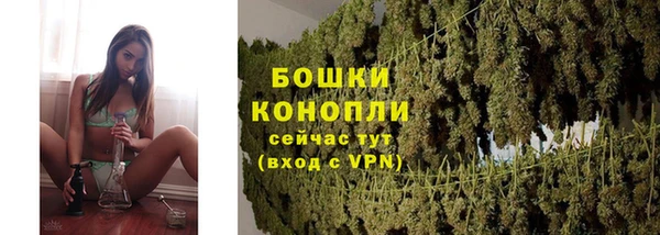 альфа пвп Горно-Алтайск